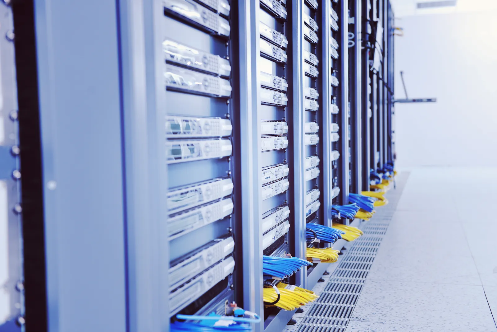 IT Hardware & Networks